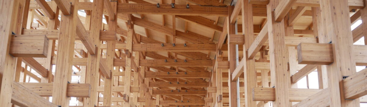 12月の法話　知遇し頂戴せん／石原崇広