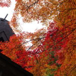 お堂の前の紅葉